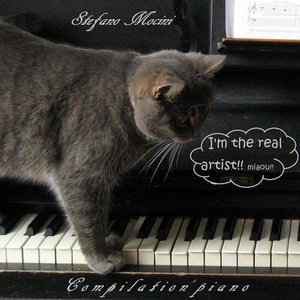 毛片视频人配狗黄带二级带
